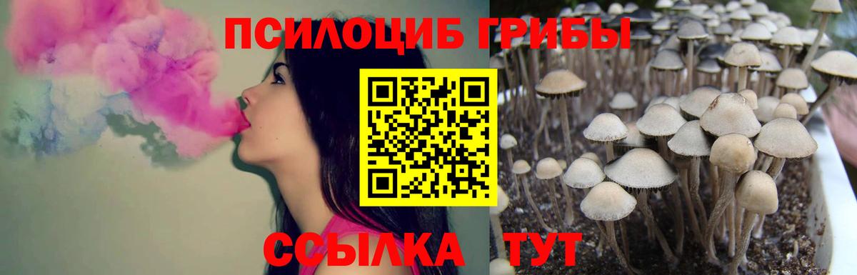 Псилоцибиновые грибы Magic Shrooms Первоуральск